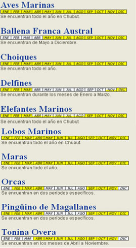 Calendario Ballenas Chubut